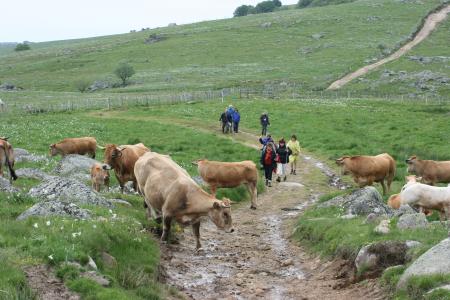 RENCONTRE SUR L'AUBRAC