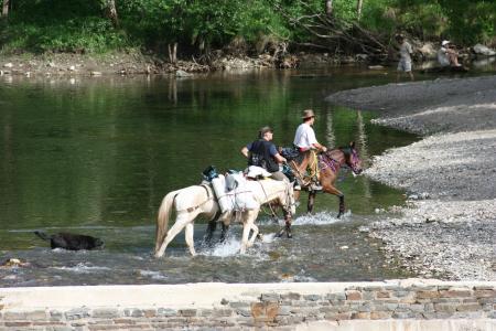 RANDO A CHEVAL ( C'EST PAS NOUS)