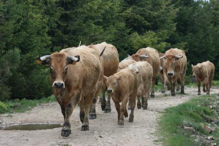 UNE! DEUX! UNE........