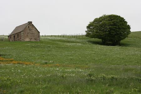 UN PETIT COIN POUR FAIRE LE FROMETON